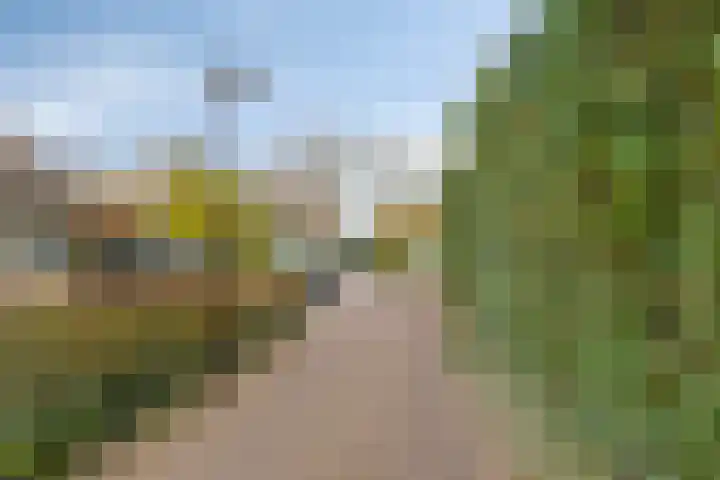 Populierestraat 19 's-Gravenpolder thumbnail 34