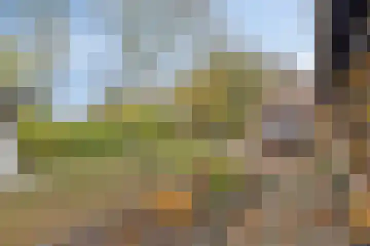 Populierestraat 19 's-Gravenpolder thumbnail 4
