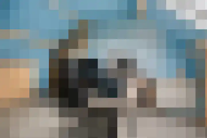 Populierestraat 30 's-Gravenpolder thumbnail 22