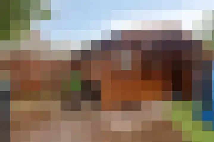 Populierestraat 30 's-Gravenpolder thumbnail 24