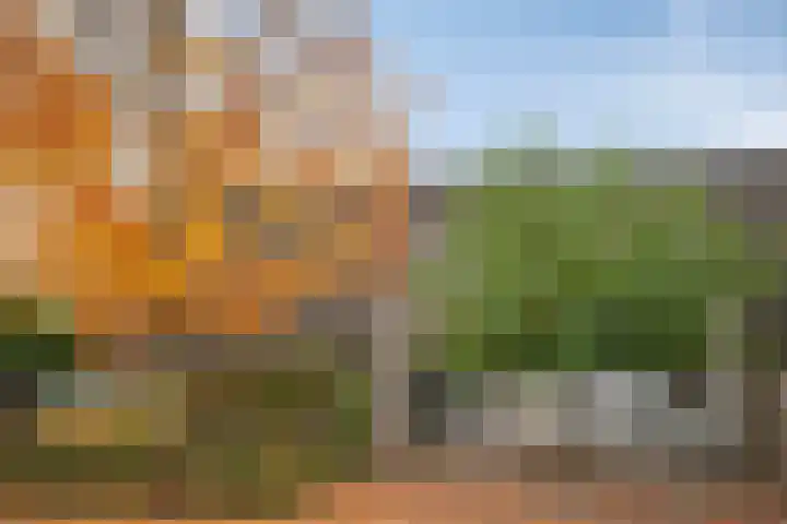 Populierestraat 30 's-Gravenpolder thumbnail 25