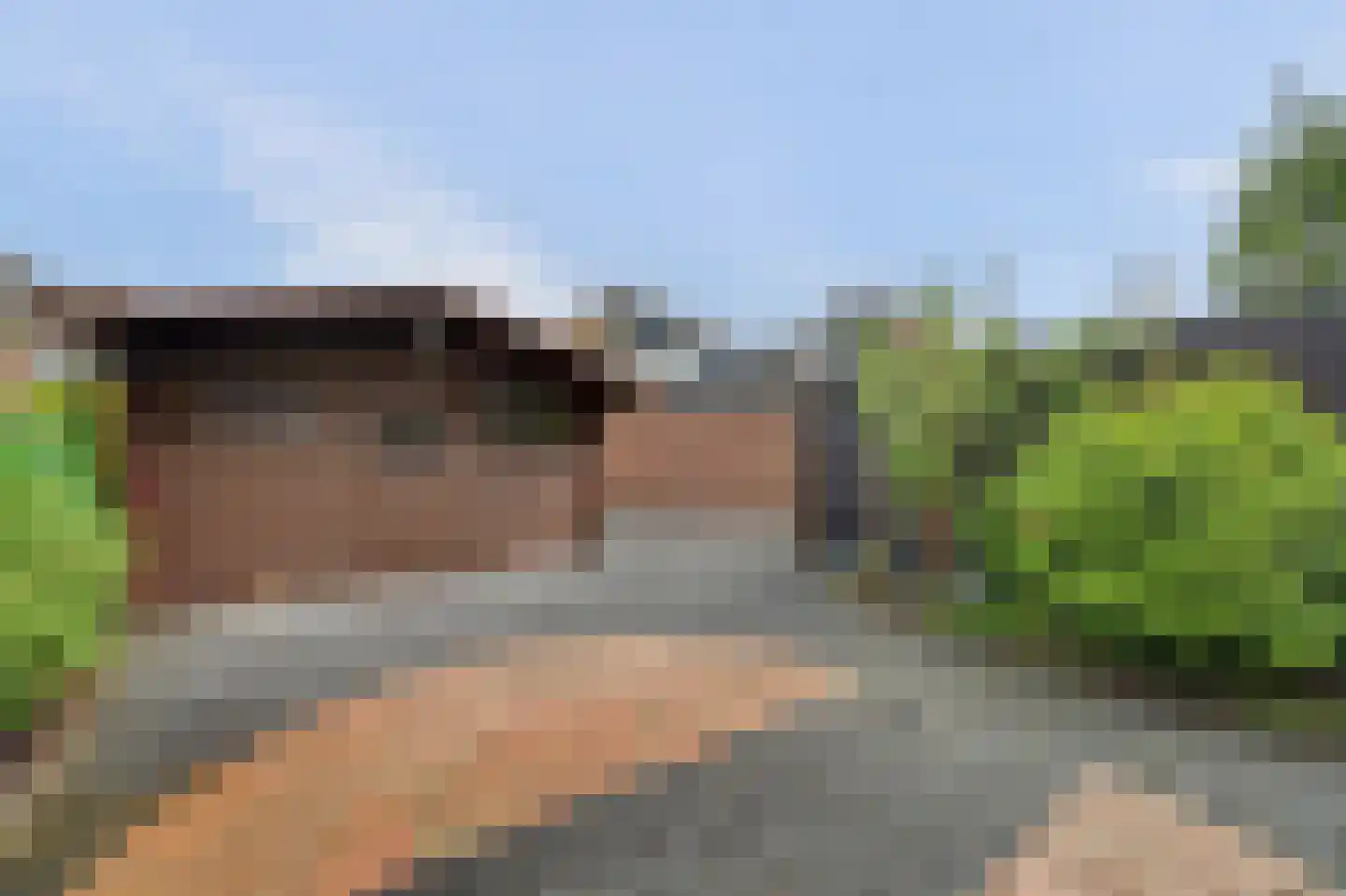 Populierestraat 51 A 's-Gravenpolder thumbnail 33
