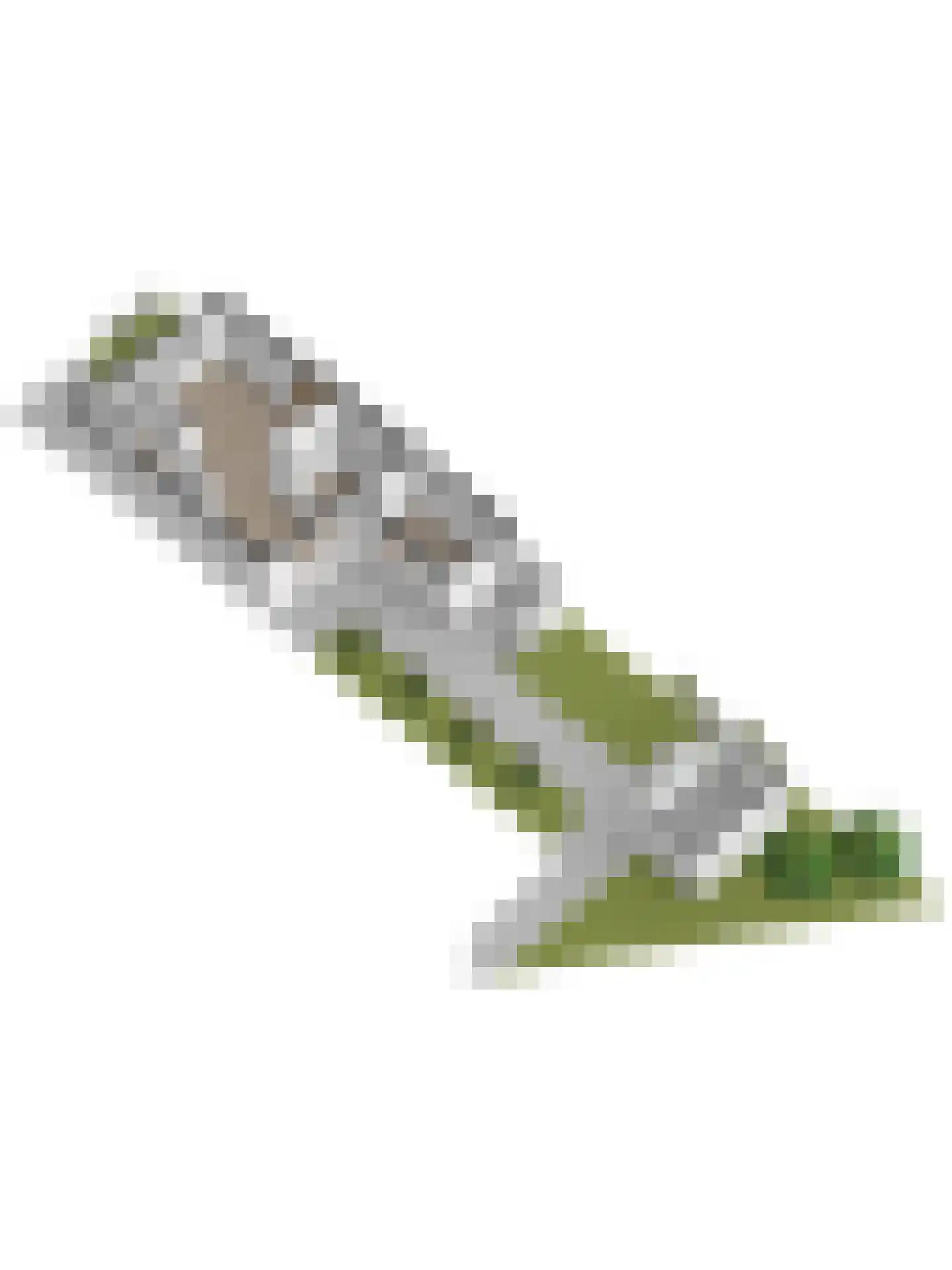 Populierestraat 51 A 's-Gravenpolder thumbnail 54