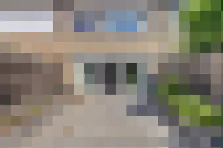 Populierestraat 6 's-Gravenpolder thumbnail 29