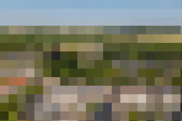 Populierestraat 6 's-Gravenpolder thumbnail 31