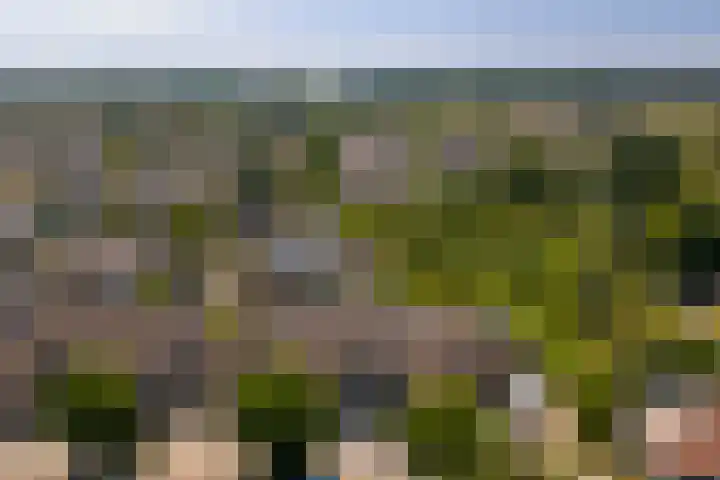Populierestraat 6 's-Gravenpolder thumbnail 32