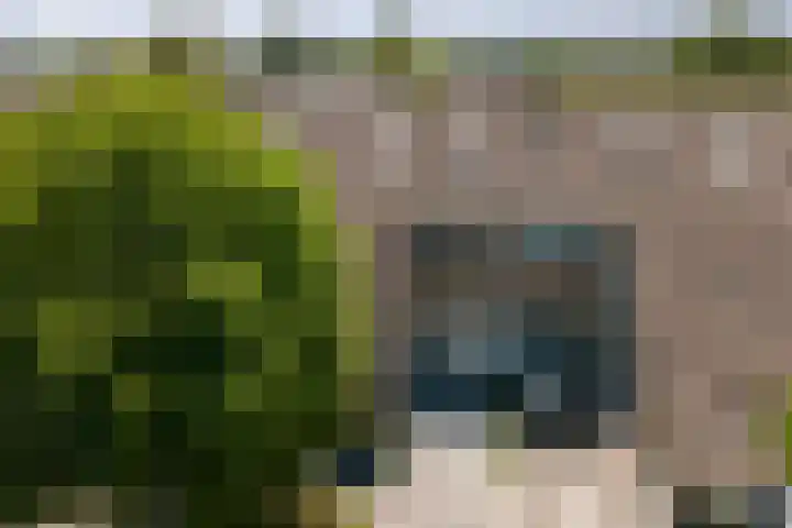 Populierestraat 6 's-Gravenpolder thumbnail 33