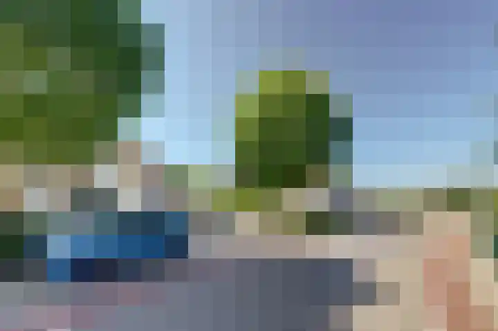 Populierestraat 6 's-Gravenpolder thumbnail 4