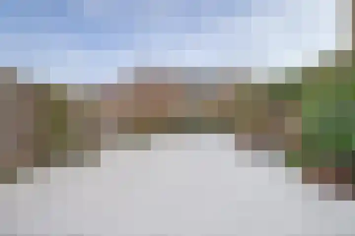 Populierestraat 75 's-Gravenpolder thumbnail 25
