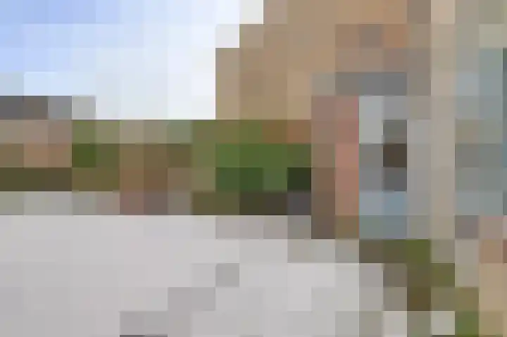 Populierestraat 75 's-Gravenpolder thumbnail 26