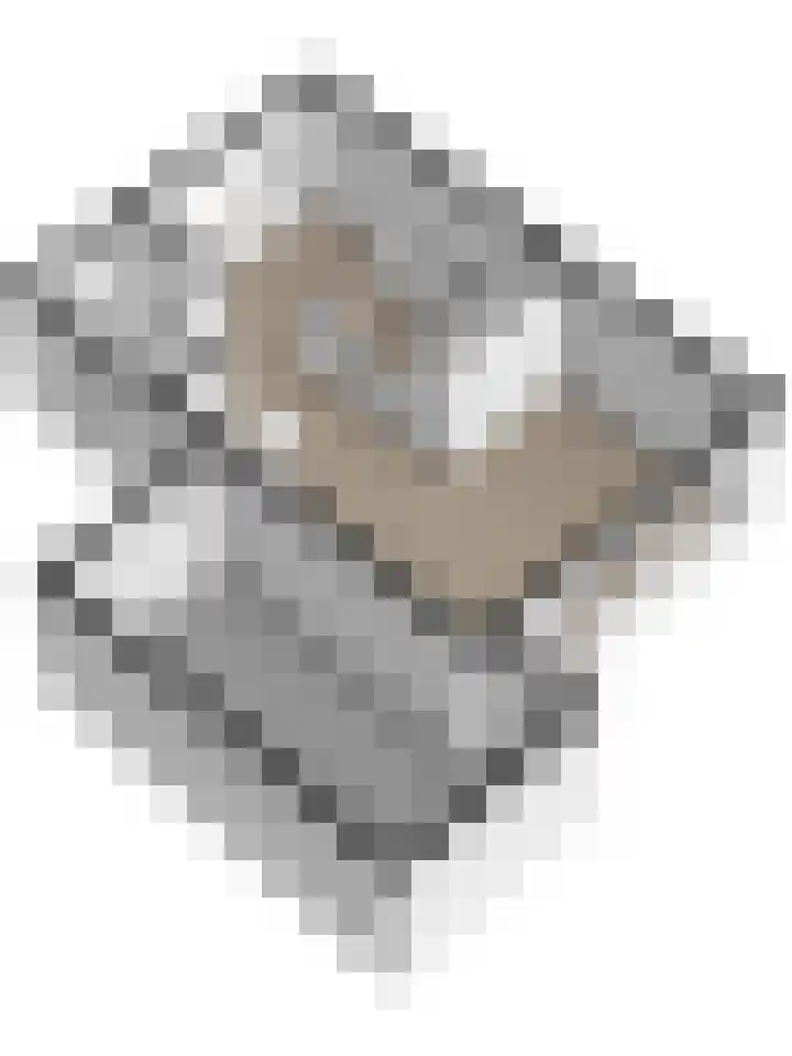 Populierestraat 75 's-Gravenpolder thumbnail 32