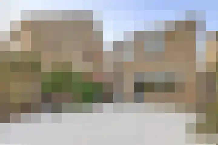 Populierestraat 75 's-Gravenpolder thumbnail 4
