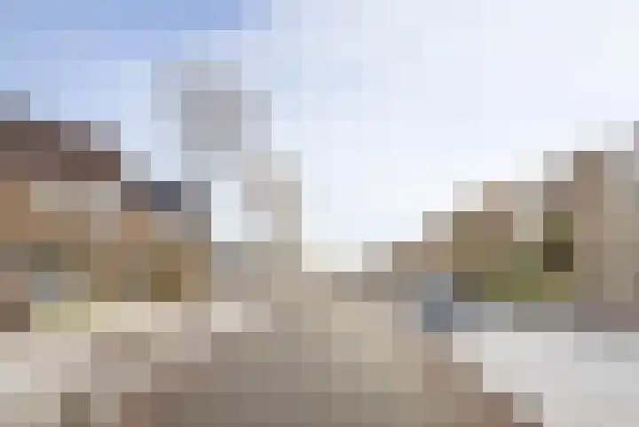 Populierestraat 75 's-Gravenpolder thumbnail 5