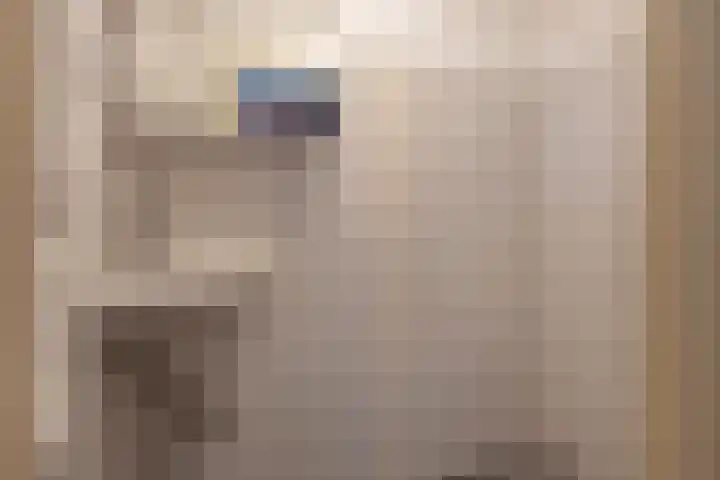 Populierlaan 116 Rijswijk thumbnail 25