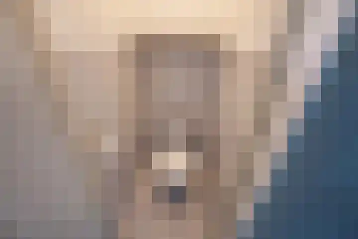 Populierlaan 116 Rijswijk thumbnail 27