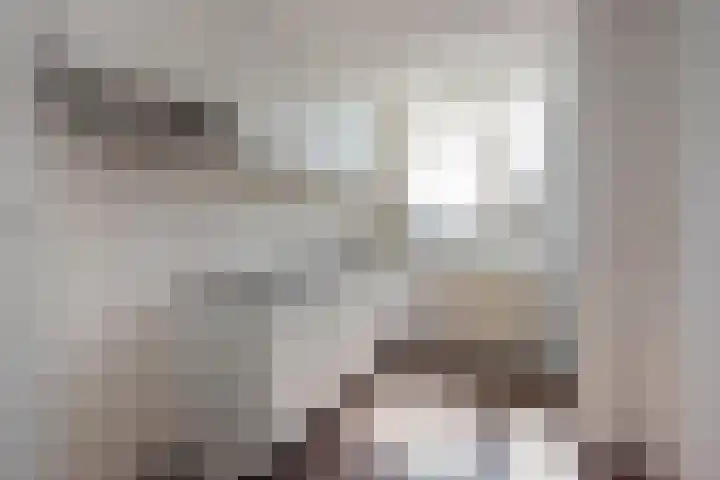 Populierlaan 144 Rijswijk thumbnail 16