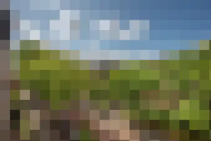 Populierlaan 144 Rijswijk thumbnail 22