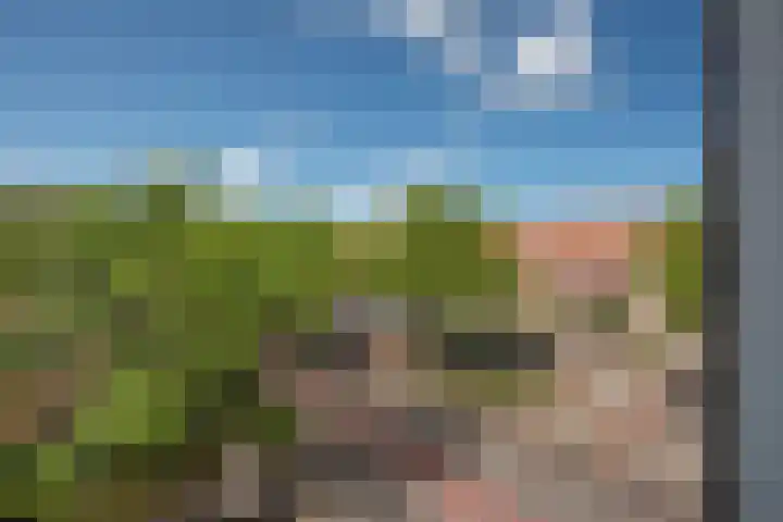 Populierlaan 144 Rijswijk thumbnail 23