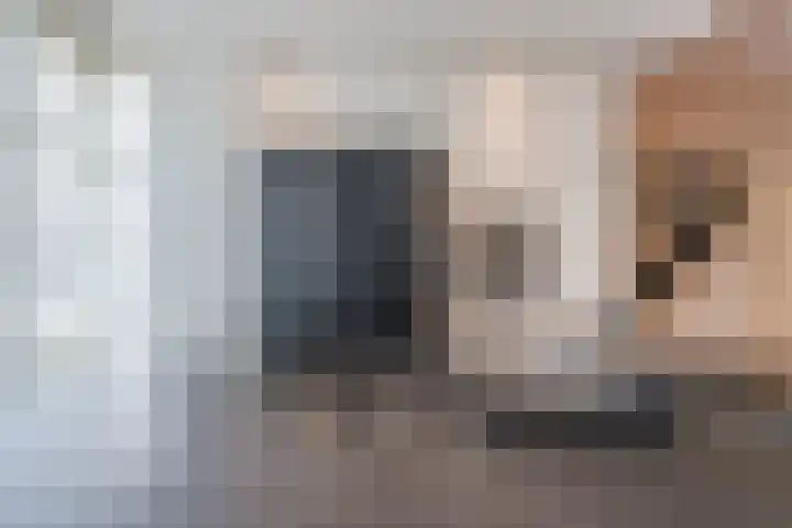 Populierlaan 3 j Rijswijk thumbnail 17