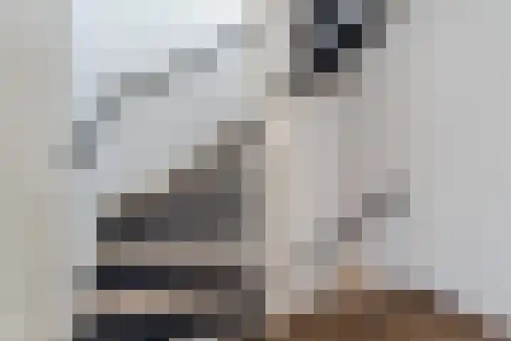 Populierlaan 3 j Rijswijk thumbnail 23