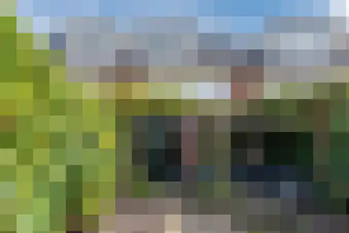 Populierlaan 3 j Rijswijk thumbnail 30