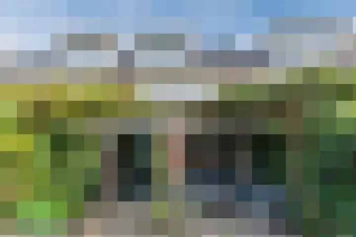 Populierlaan 3 j Rijswijk thumbnail 31