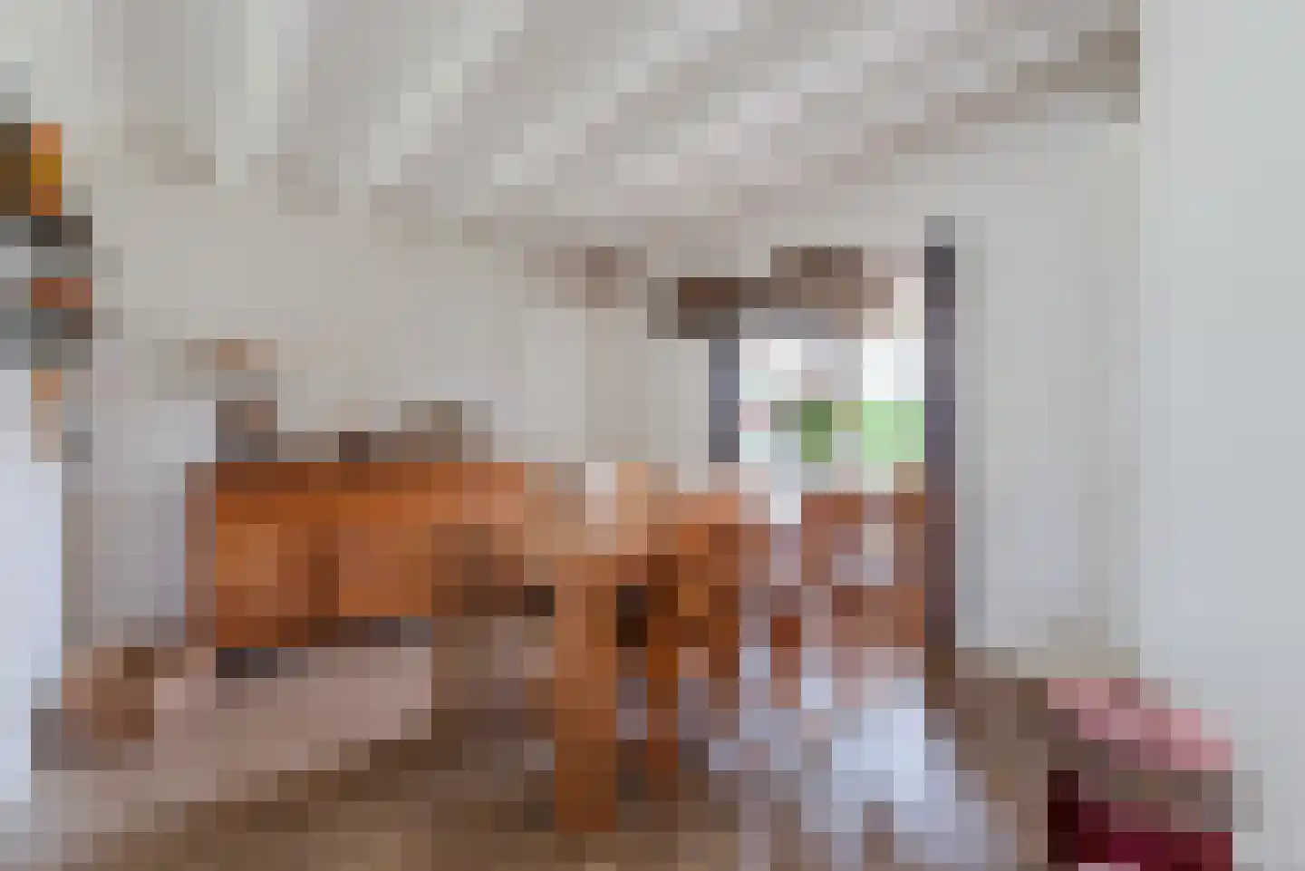 Populierlaan 30 Echt thumbnail 13