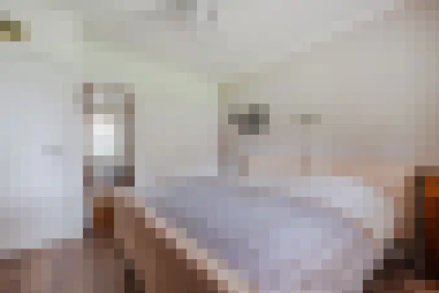 Populierlaan 30 Echt thumbnail 29