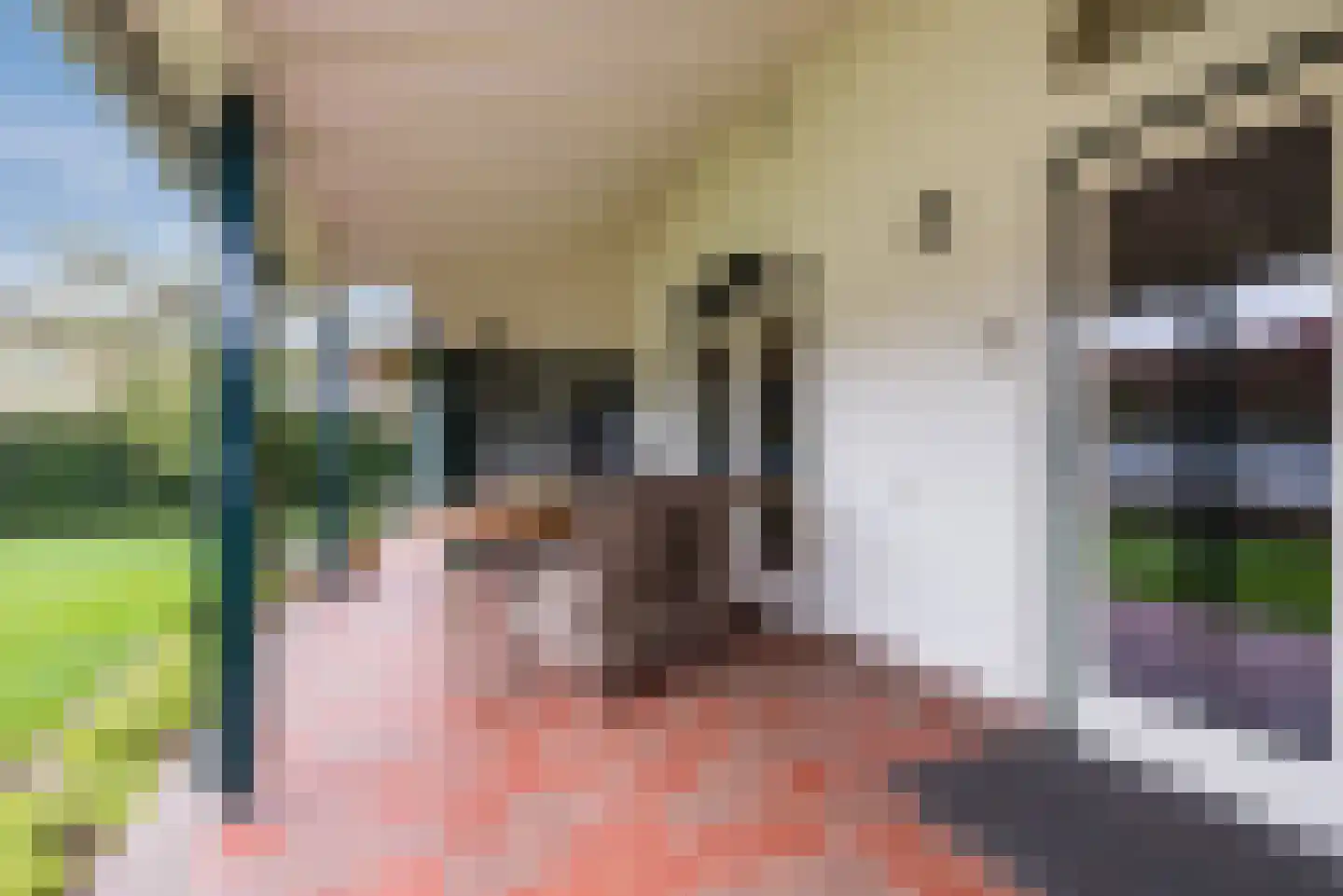 Populierlaan 30 Echt thumbnail 49
