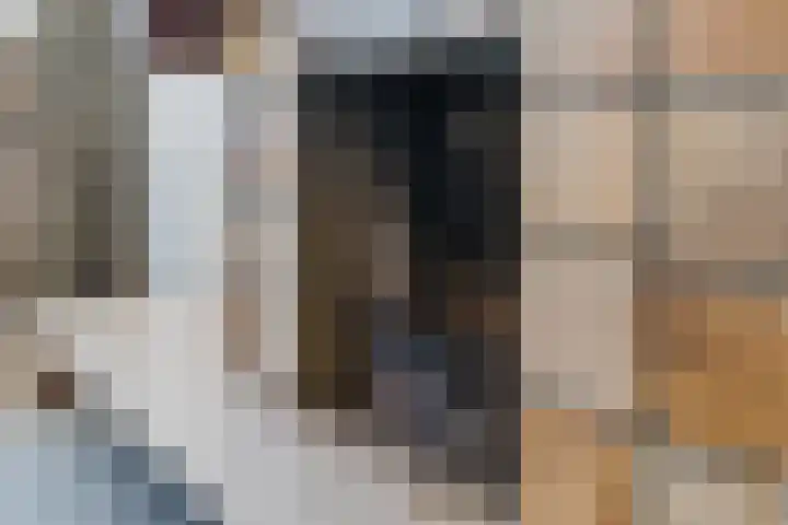 Populierlaan 66 Veghel thumbnail 11