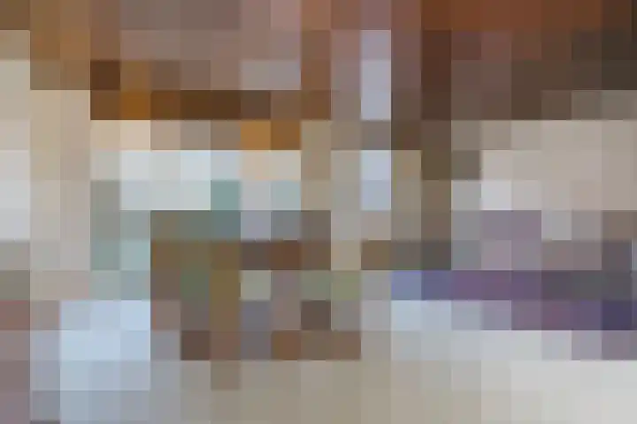 Populierlaan 66 Veghel thumbnail 12