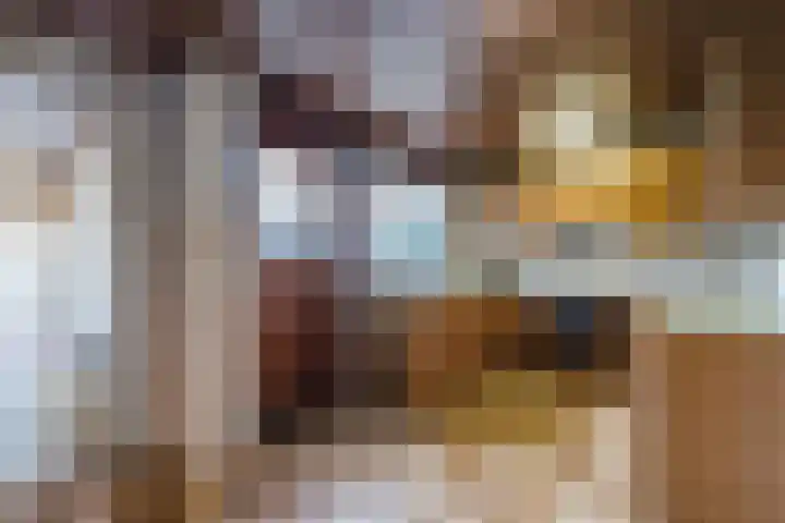 Populierlaan 66 Veghel thumbnail 18