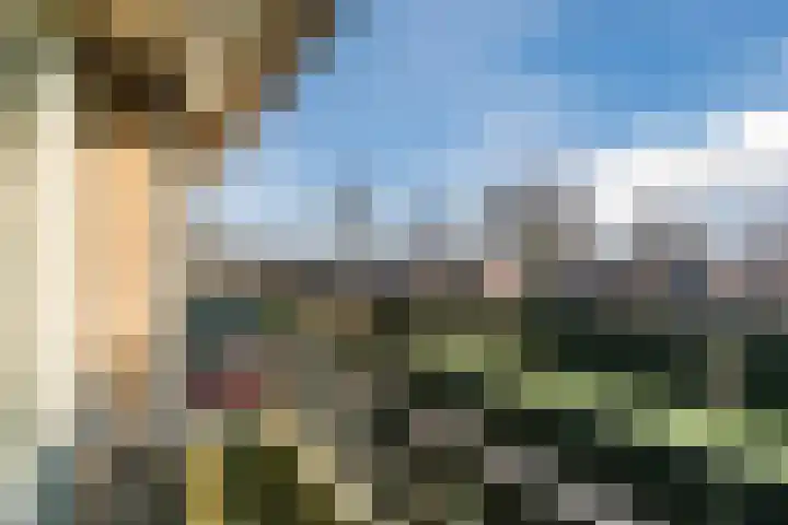 Populierlaan 66 Veghel thumbnail 26