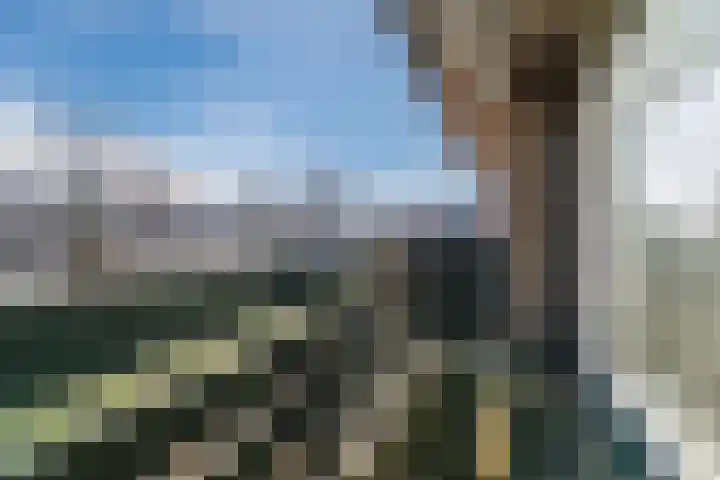 Populierlaan 66 Veghel thumbnail 27