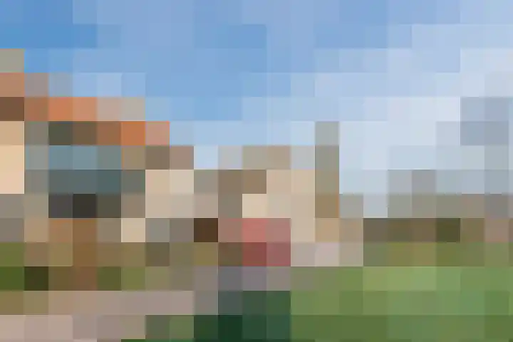 Populierlaan 66 Veghel foto 3