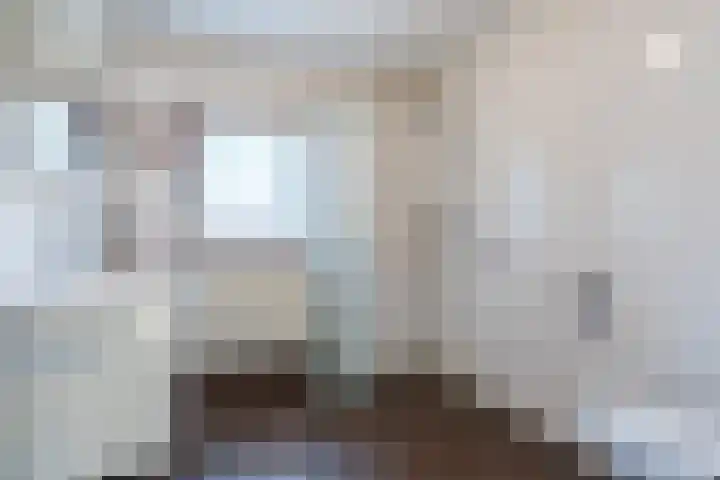 Populierlaan 66 Veghel thumbnail 30