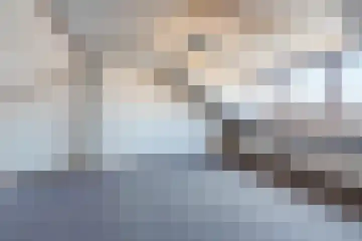Populierlaan 66 Veghel thumbnail 34