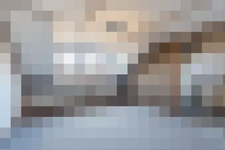 Populierlaan 66 Veghel thumbnail 35