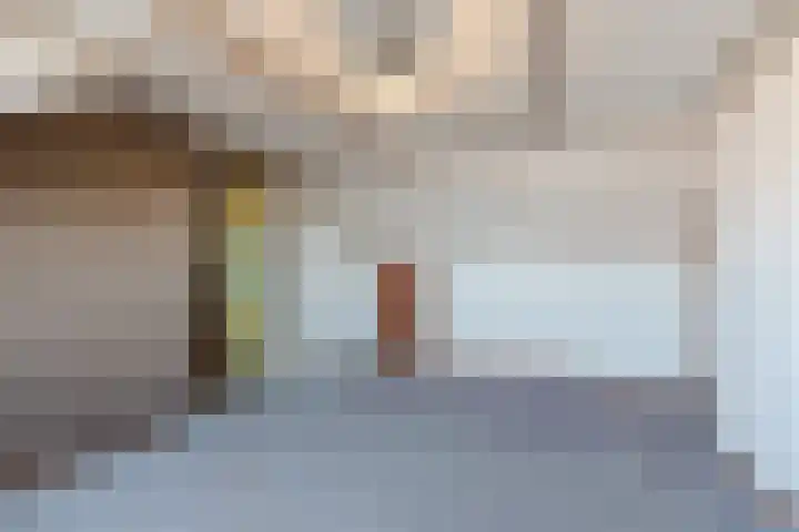 Populierlaan 66 Veghel thumbnail 36