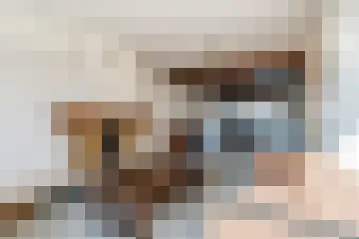Populierlaan 66 Veghel thumbnail 9