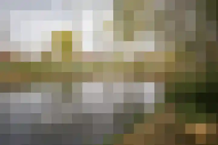 Populierstraat 1 a Leerdam thumbnail 29