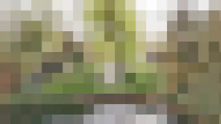 Populierstraat 1 a Leerdam thumbnail 30