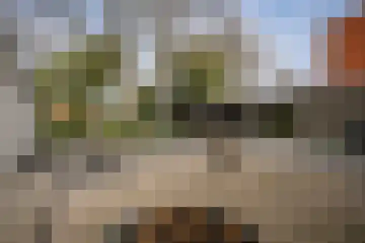 Populierstraat 1 a Leerdam thumbnail 34