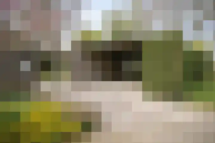Populierstraat 1 a Leerdam thumbnail 39