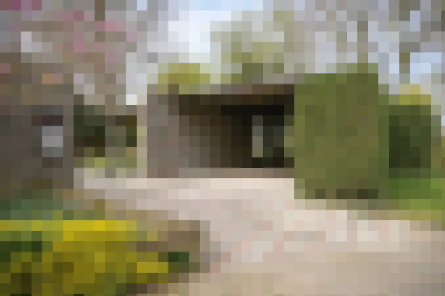 Populierstraat 1 a Leerdam thumbnail 39