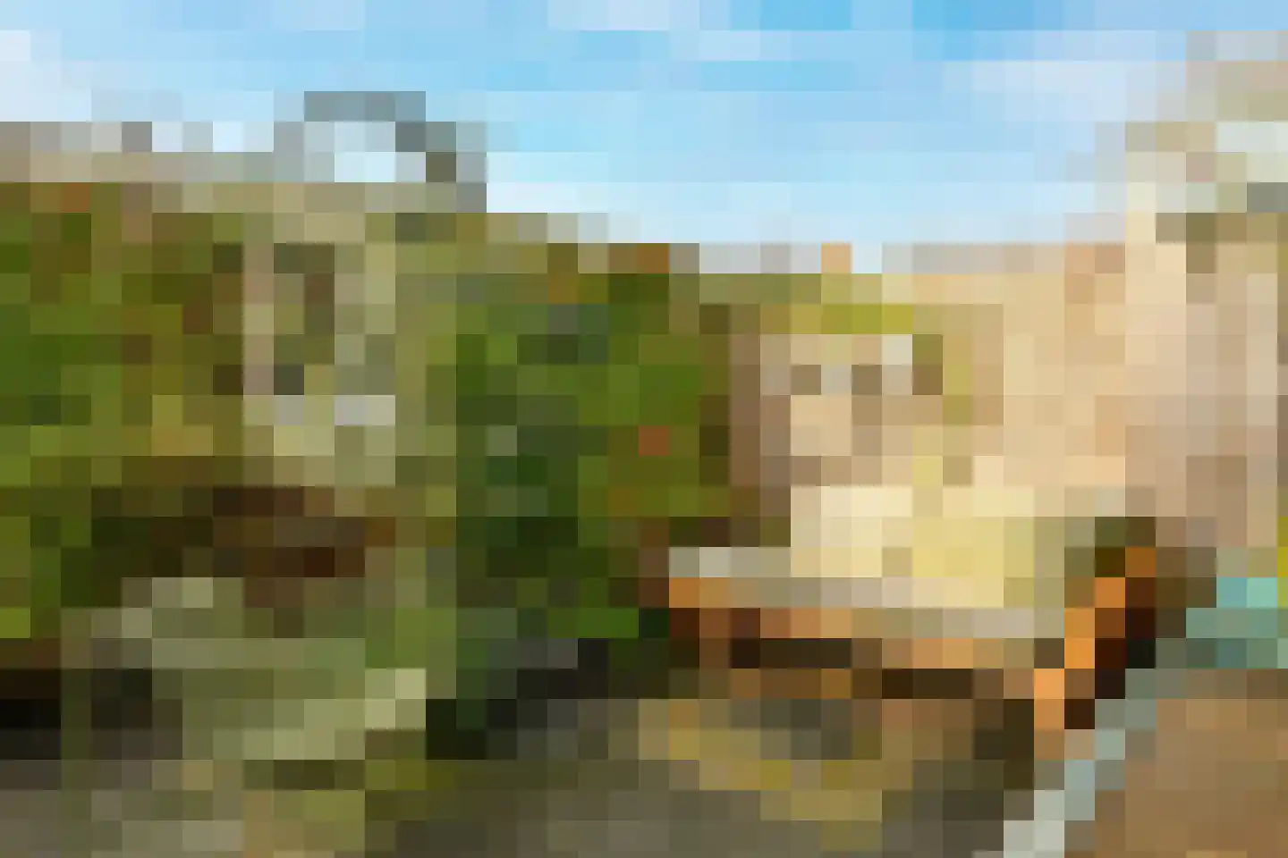 Populierstraat 11 Duivendrecht thumbnail 13