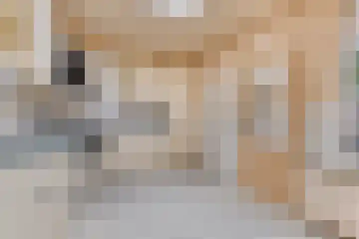 Populierstraat 11 Oldenzaal thumbnail 6