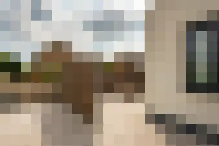 Populierstraat 13 Heerle thumbnail 20