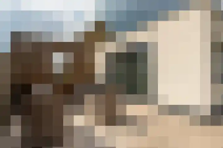 Populierstraat 13 Heerle thumbnail 21