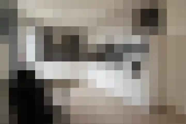 Populierstraat 13 Heerle thumbnail 4